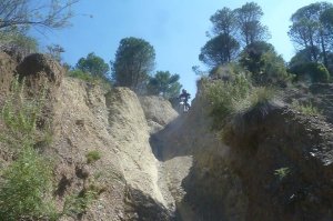 251091_2104091245687_1347673231_2469799_2031386_n