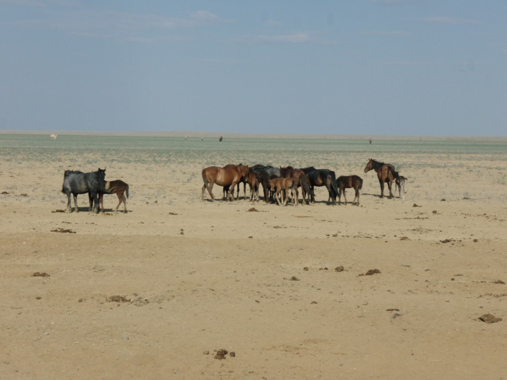 Kazakhstan
