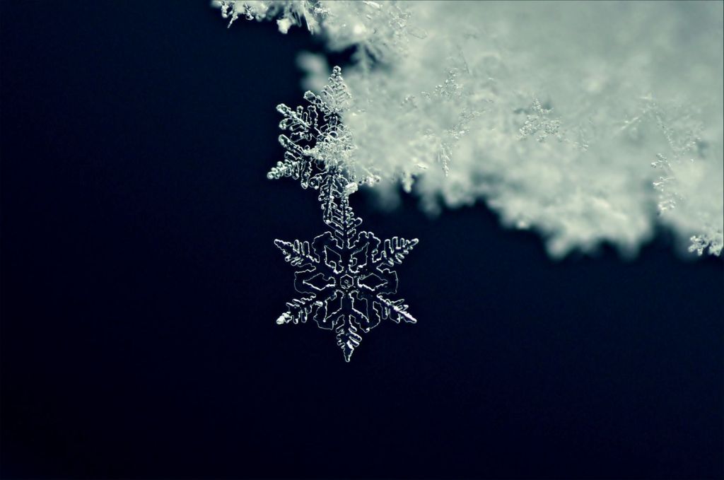 Mongolia: Snow