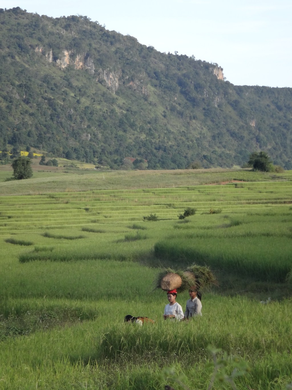 Myanmar: Roads and&nbsp;Things