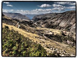 11222581_797083810359636_8611122080503937642_n