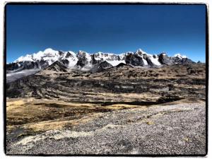 11224720_798207086913975_7690920799104941621_n