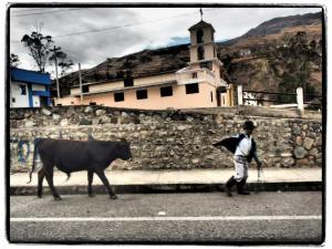 11866245_794493353952015_8612890966829973486_n