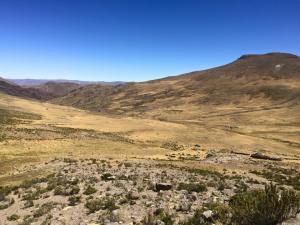 11885386_797112387023445_848540112959669009_n