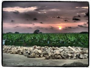 11891240_794844317250252_7777516340957001177_n