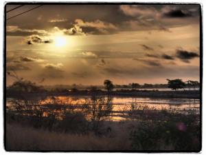 11949368_794844197250264_8446351969485191111_n