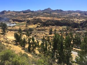 11960208_797112353690115_9172825549718367163_n