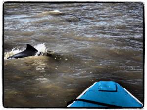 11212773_808790325855651_8797541113560108482_n