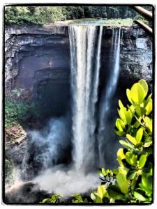 11229690_809462032455147_8311878366463284288_n