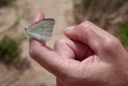 Bolivia: Santa Cruz and Villamontes (15th to 16th December) – by&nbsp;Joern
