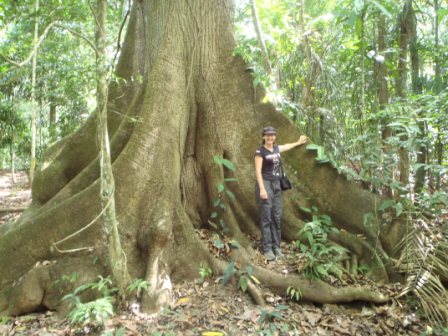 Panama: (17th to 23rd&nbsp;January)